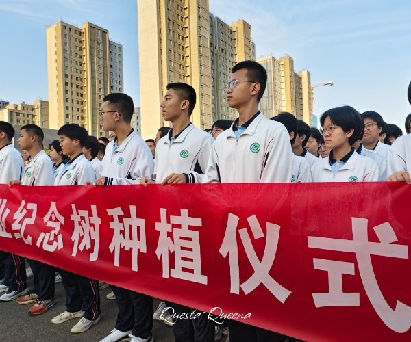 毕业树 (3).jpg